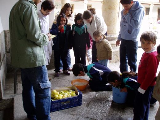 /Archivos/Fotos/25/Salamanca/Col Almarza fiestas3.jpg
